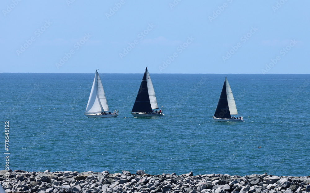 Fototapeta premium group of sailboats on a windy day