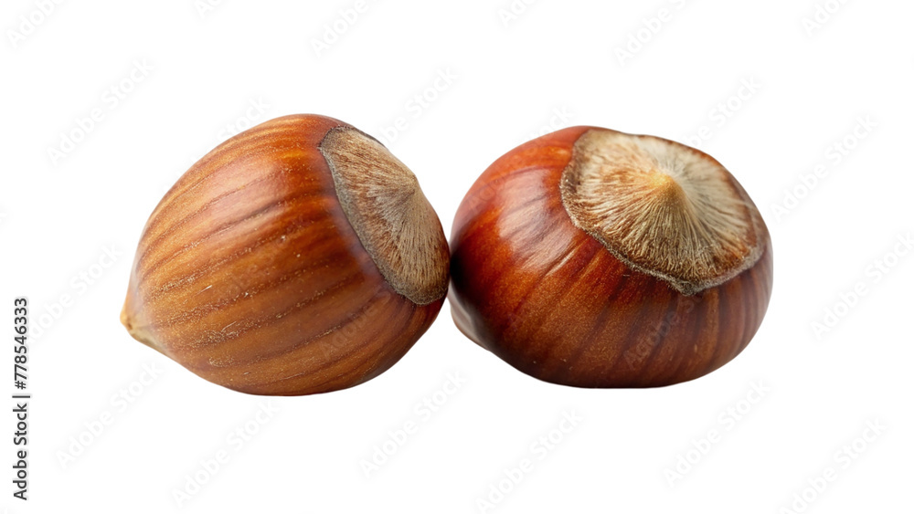 Hazelnut nut isolated on transparent background Hazelnut nut isolated on transparent background