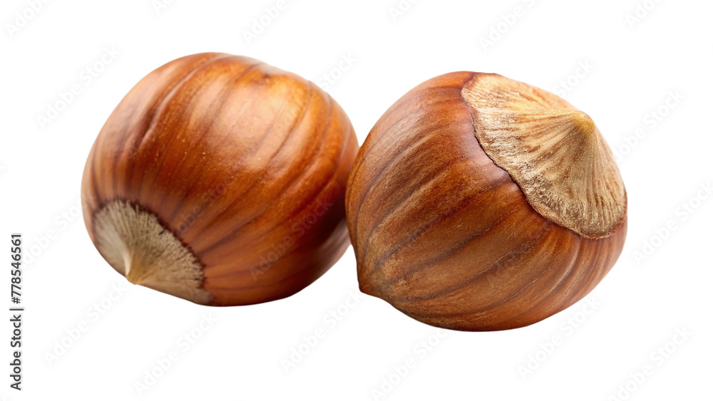Hazelnut nut isolated on transparent background Hazelnut nut isolated on transparent background