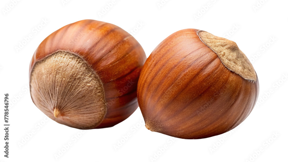Hazelnut nut isolated on transparent background Hazelnut nut isolated on transparent background