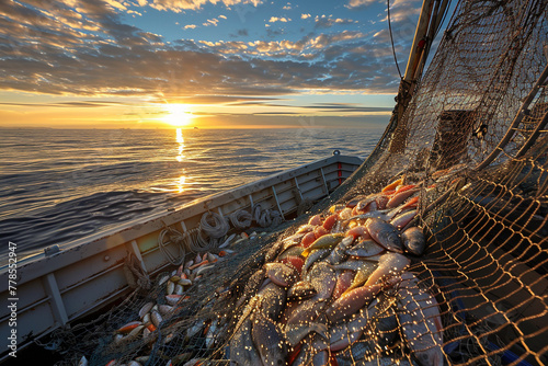 A serene morning on a fishing boat, with the net full of a diverse catch being hauled in, sparkling in the first light of day, with the calm ocean and rising sun in the background. photo