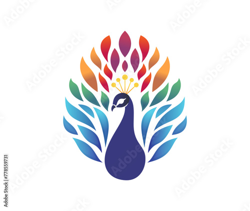 colorful peacock vector illustration logo