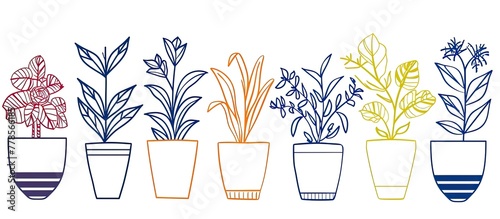 A row of houseplants in flowerpots on a white rectangular wood table background, with green grass. Each plant is in a vase or drinkware photo