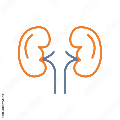 Kidneys Line Two Color Icon