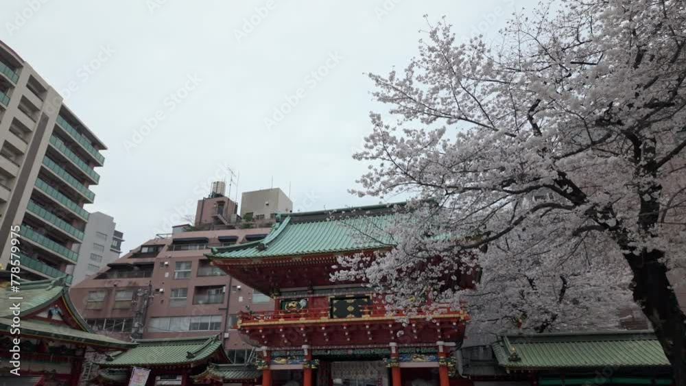 東京都千代田区御茶ノ水に咲く桜の景色