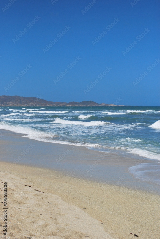 El agua,el mar como elemento comunicante en nuestro ambiente. El agua,el mar como elemento comunicante en nuestro ambiente.