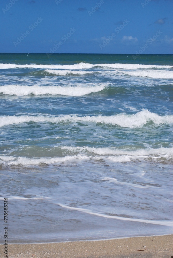 El agua,el mar como elemento comunicante en nuestro ambiente. El agua,el mar como elemento comunicante en nuestro ambiente.