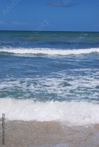 El agua,el mar como elemento comunicante en nuestro ambiente.