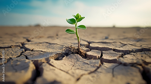 Dry cracked earth background and growing green plants save the planet from global warming