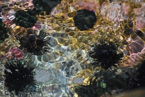 El agua,el mar como elemento comunicante en nuestro ambiente.