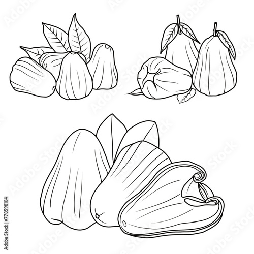 Vector drawing Illustration Hand drawn ink sketch of Water Apple Fruit, Half Peeled, whole and sliced line art isolated on white background.  For kids coloring book.outline vector doodle illustration photo