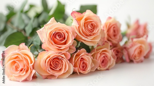 Beautiful roses on white background close up   Generative ai  