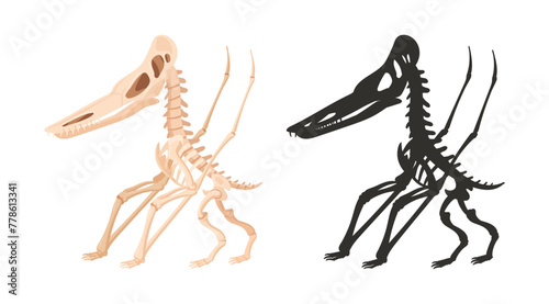 Cartoon jurassic reptile silhouette. Ancient dino skeleton, dinosaur fossil bones. Flat vector illustration on white background