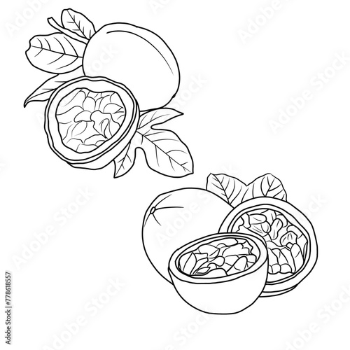 Vector drawing Illustration Hand drawn ink sketch of Passion fruit, Half Peeled, whole and sliced line art isolated on white background.  For kids coloring book.outline vector doodle illustration