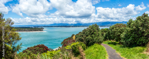 Bowentown Walk Lookout   scenic views of the Bowentown       Beach  Shelly Bay and Pacific Ocean in Bay of Plenty  New Zealand