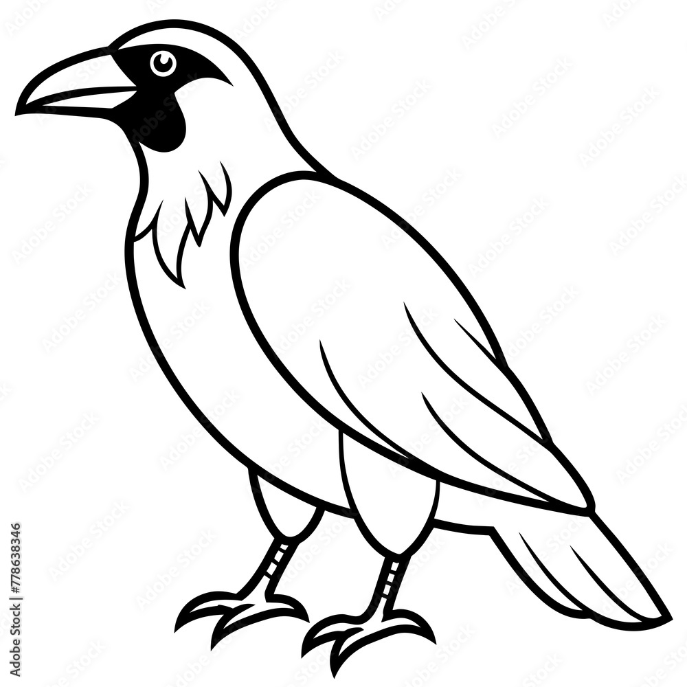 crow on a white background - Vector illustration crow on a white background - Vector illustration