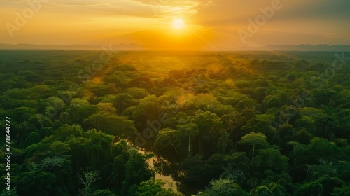 Tropical forest at sunset with beautiful green Amazon forest © JH45