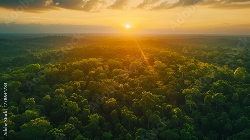 Tropical forest at sunset with beautiful green Amazon forest photo