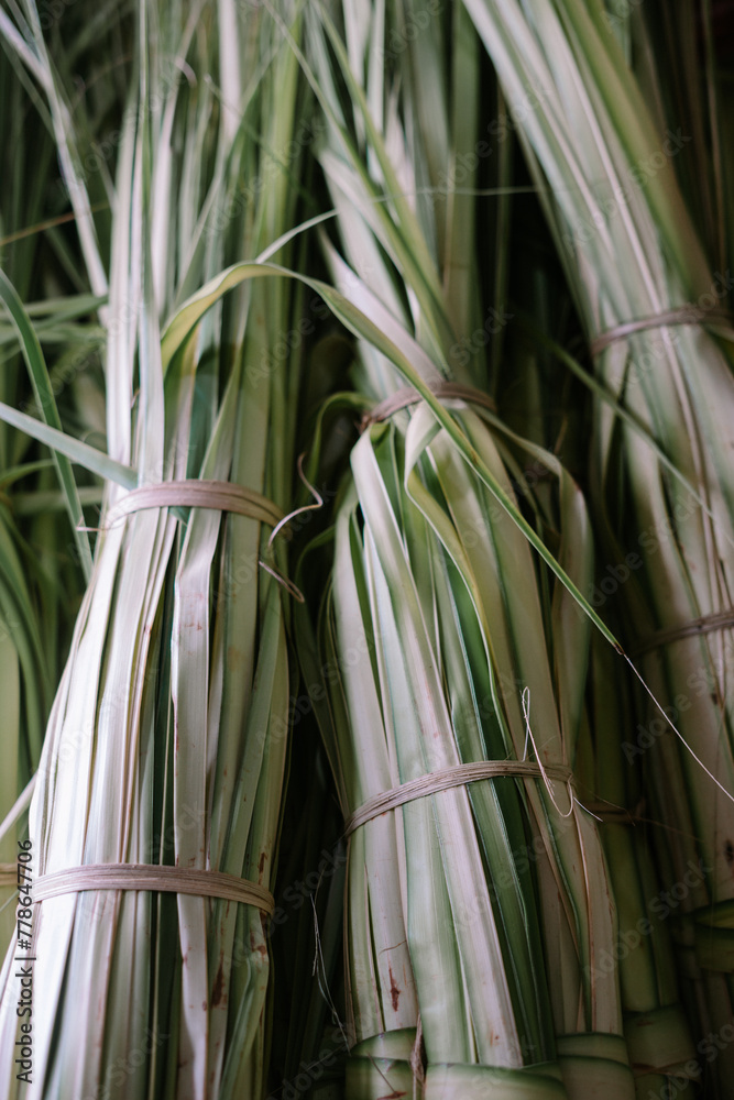 Obraz premium The basic ingredient for ketupat is young coconut leaves which are split into lengths and then made into ketupat