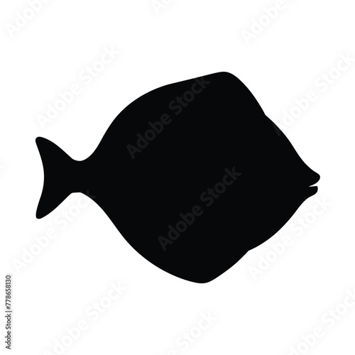 silhouette of flounder fish on white