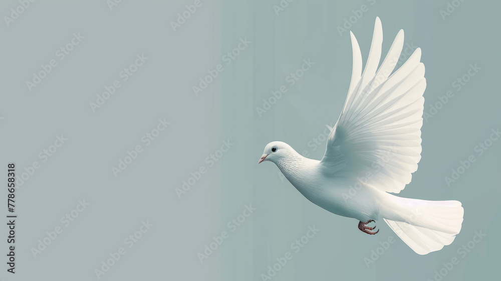 Fototapeta premium An elegant white dove spreading its wings mid-flight on a teal background, perfect as a banner with blank space