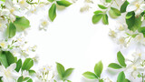 Fresh jasmine flowers with lush green leaves framing an empty white space for custom design