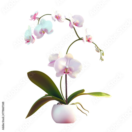 White vase with pink flower