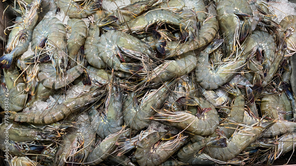 Top view of Prawns. Asian street market concept Top view of Prawns. Asian street market concept