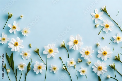 flowers on blue background