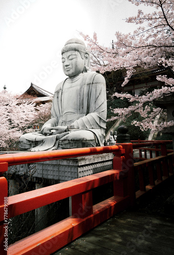 壺阪寺の桜