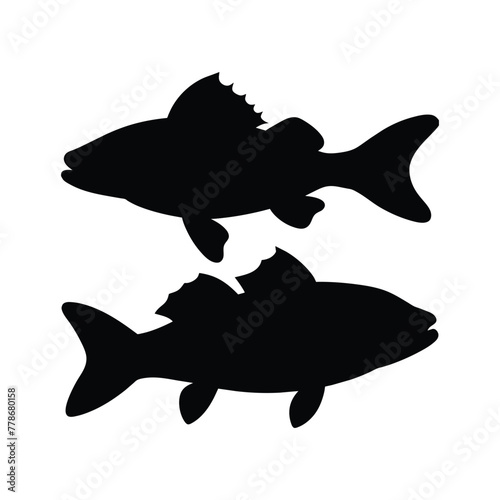 silhouette of walleye fish on white