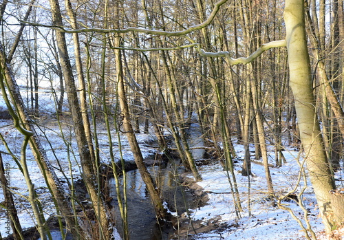 Landscape in Winter in the Valley of the River Fulde in the Town Walsrode, Lower Saxony