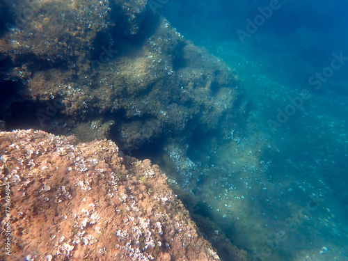 Vista subacquea di un fondale roccioso con alghe e coralli a San Lorenzo 175 photo