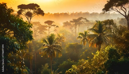 amazon jungle trees wildernes wallpaper pictures background hd