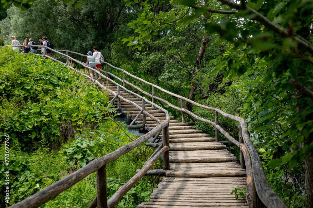 Obraz premium Beautiful landscape in the Plitvice Lakes National Park in Croatia. Footpath for hiking.