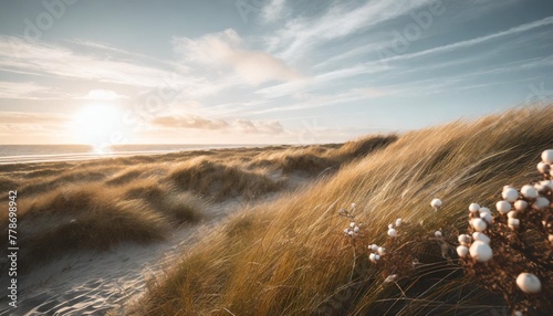 grass dunes of ameland with rose hips