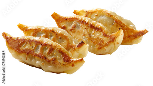 Gyoza dumpling isolation on white background