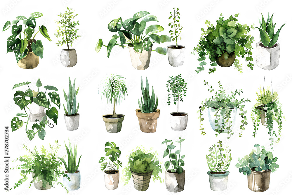 観葉植物の集合イラスト-2 観葉植物の集合イラスト-2