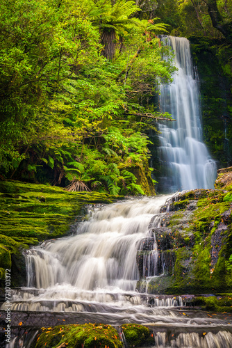 Fototapeta Naklejka Na Ścianę i Meble -  MacLean Falls, Catlins, Otago NZ