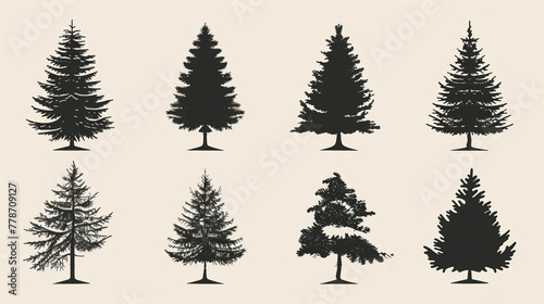 Christmas tree icon set. Vector illustration of pine silhouette  photo