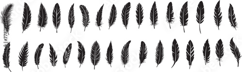 set of silhouettes of feather on transparent background photo