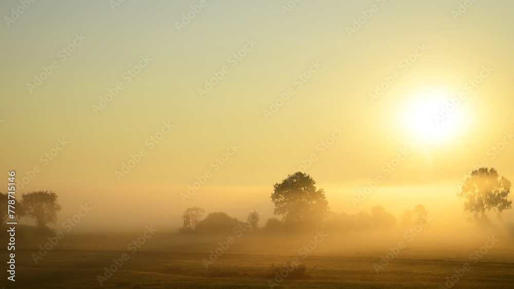 Fototapeta premium Morgenstimmung im Ampertal