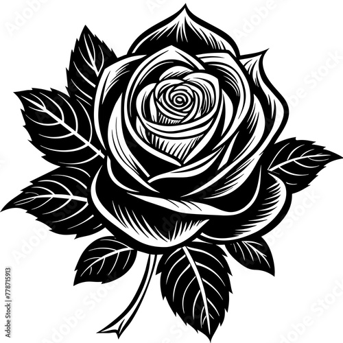    Flower silhouette  vector illustration.
