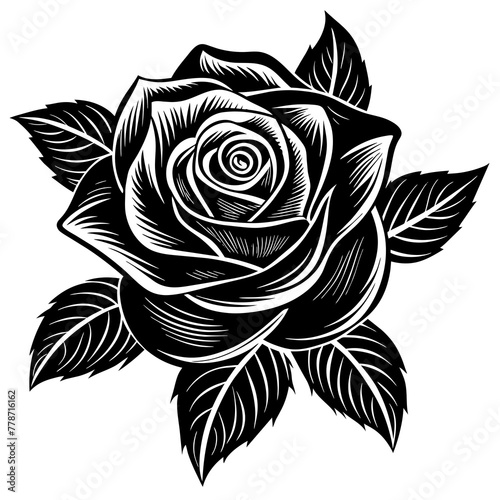    Flower silhouette vector illustration.

