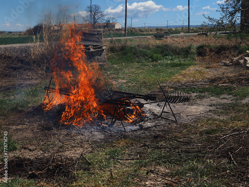 Burning fire to roast 