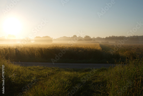 Landschaft, Morgenstimmung © Peter Oetelshofen