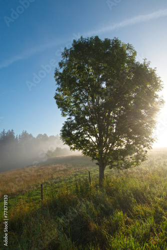 Landschaft, Morgenstimmung