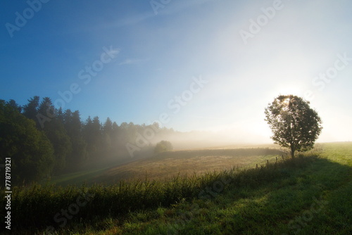 Landschaft, Morgenstimmung