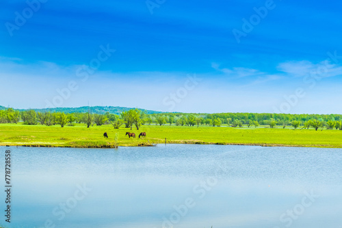 Beautiful countryside landscape in nature park Lonjsko polje Osekovo, Croatia, from air in spring photo