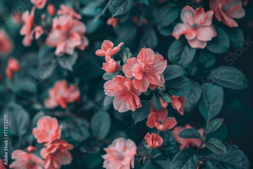 Blossom Beauty: Exploring Flowers © UnitS